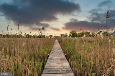 5919 New St, Rock Hall, MD 21661 - photo 3