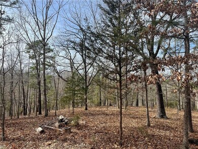 11828 Shockley Place Rd, Rogers, AR 72756 - photo 7