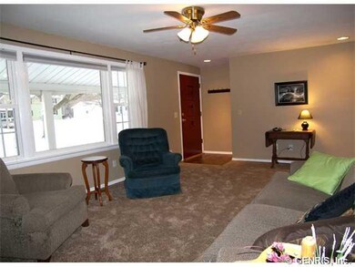 Living Room Light, bright and open! Brand new carp
