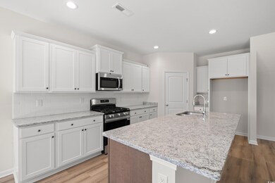 251 Stillbrook Dr unit Lot 62 Indigo C, Longs, SC 29568 - photo 5