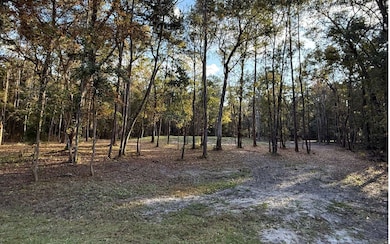 TBD SW Hill Creek Dr, Lake City, FL 32025 - photo 3