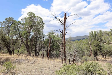 000 Trailer Rd unit 23, Timberon, NM 88350 - photo 4