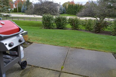 2042 Peach Tree Ln unit 4175, Algonquin, IL 60102 - photo 5