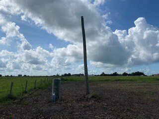 10351 Bushnell Rd, Needville, TX 77461 - photo 4