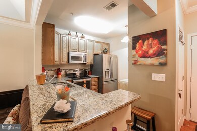 8615 Fluttering Leaf Trail unit 201, Odenton, MD 21113 - photo 3