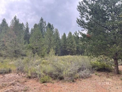 0 Oregon 140, Klamath Falls, OR 97601 - photo 2