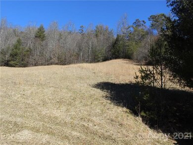 00 Will Anglin Rd, Price Creek, NC 28714 - photo 3