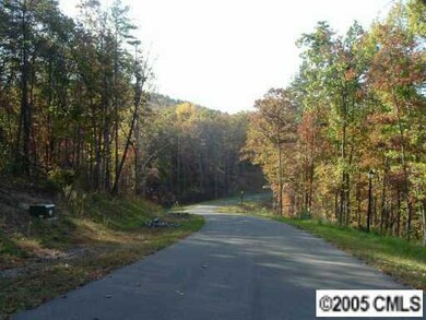 Other - Beautiful fall leaves...