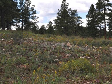 lot 59