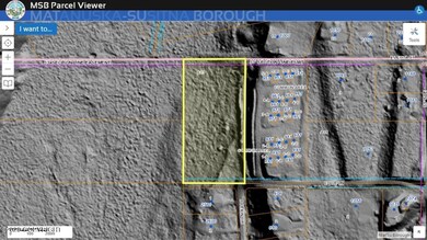Borough GIS Hillshade View