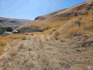 TBD Garfield St, Asotin, WA 99402 - photo 7