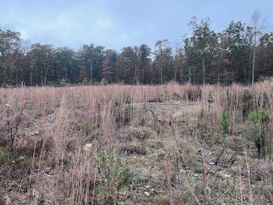 270 Burnett Rd, Signal Mountain, TN 37377 - photo 4