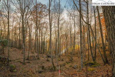 LV2 Old Laurel Ln, Elk Park, NC 28622 - photo 4