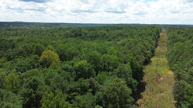 65 Sandy Point Rd, Camden, TN 38320 - photo 7