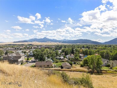 Absaroka Range view
