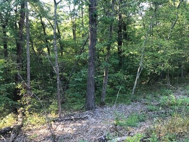 0 Camborne Dr unit 1227539, Bella Vista, AR 72714 - photo 3