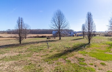 Level lot with mature trees