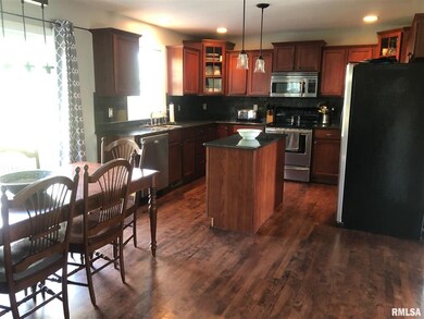 11520 Ballymore, Dunlap, IL 61525 - photo 2