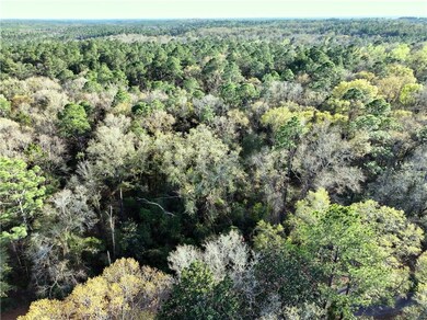 0 Dogwood Fork Rd unit 7347527, Bay Minette, AL 36507 - photo 4