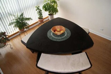 600 Naples Ct unit 605, Glenview, IL 60025 - photo 5