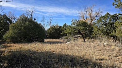 126 Cedar Ridge Rd, Mosca, CO 81146 - photo 4