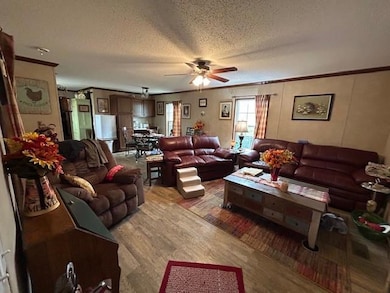 203 2nd St, Vining, IA 52348 - photo 4