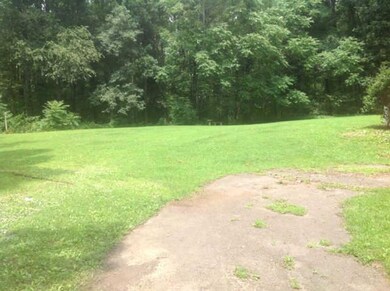 Another view of back yard