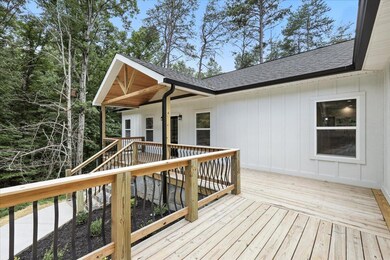 177 Cove Springs Dr, Dandridge, TN 37725 - photo 6