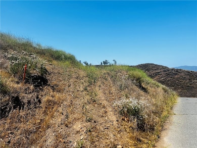 0 Reid St unit IV25125557, Lake Elsinore, CA 92530 - photo 2