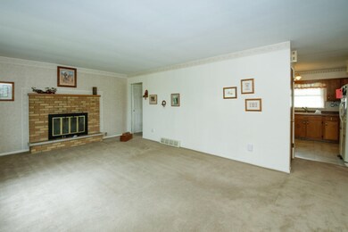 65008 White Pine-106