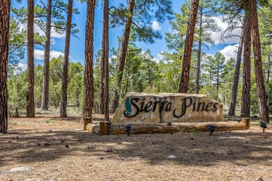 575 E Middle Mountain Ln, Show Low, AZ 85901 - photo 4