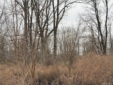 16 Knights Ln, Warwick, NY 10990 - photo 3