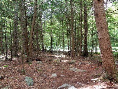 40 Glendale Rd, Fiskdale, MA 01518 - photo 5