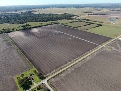 1010 County Road 23, Damon, TX 77430 - photo 3