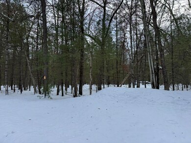 0 E Riverside Drive - C unit 25003541, Irons, MI 49644 - photo 3