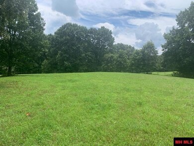 001-04806-002 Colonial Ln, Yellville, AR 72687 - photo 7