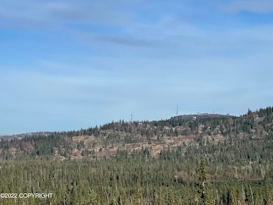 image_50412033