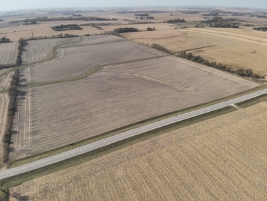 TBD County Road 15, Kasson, MN 55944 - photo 3