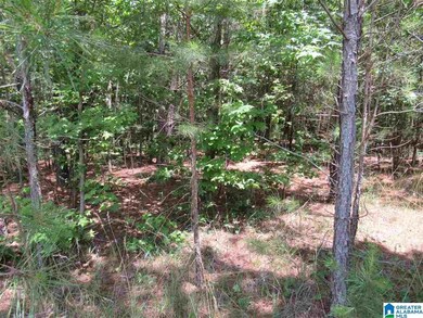 0 County Road 329 unit 8.41 1289420, Wedowee, AL 36278 - photo 5