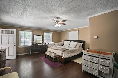 Bedroom featuring crown molding, dark wood-type flooring, a textured ceiling, and ceiling fan