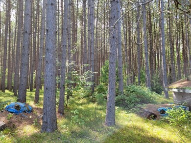 N8844 Walleye Way, Tomahawk, WI 54487 - photo 6