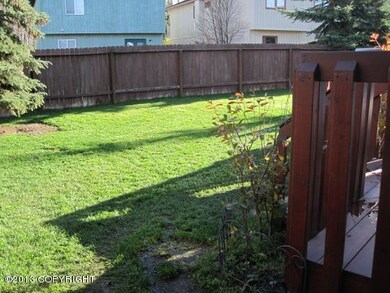 Back yard