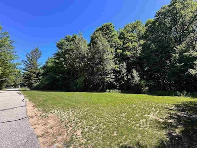 Unit 128 Founders Ridge, Kearney Township, MI 49615 - photo 2