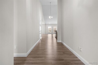 117 Gronefeld Ct, Saint Peters, MO 63303 - photo 7
