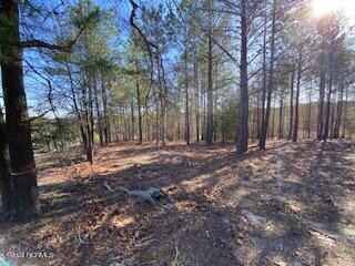 278 clearing