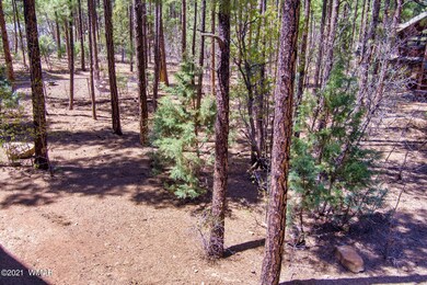 1060 E Cedar Ridge Run, Show Low, AZ 85901 - photo 7