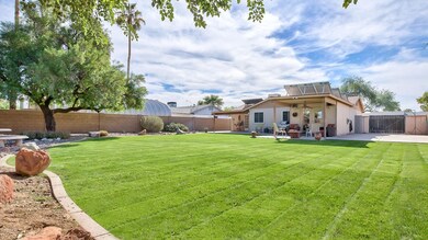 Backyard 5