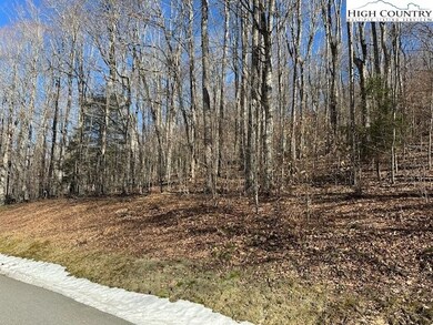 6 Meadow Ave, Banner Elk, NC 28604 - photo 4