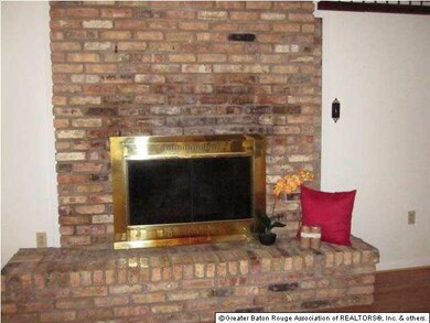 wood burning fireplace