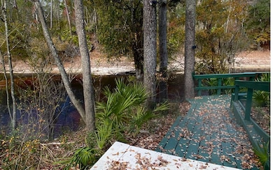 344 NW Null Rd, White Springs, FL 32096 - photo 4